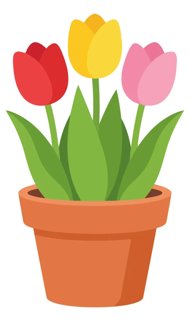 three colorful tulips in a terracotta flower pot, vector illustration of spring flowers with red, yellow, and pink blossoms surrounded by gr