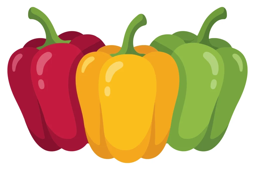 three fresh bell peppers in red, yellow, and green colors arranged side by side, vibrant vegetable illustration isolated on white background