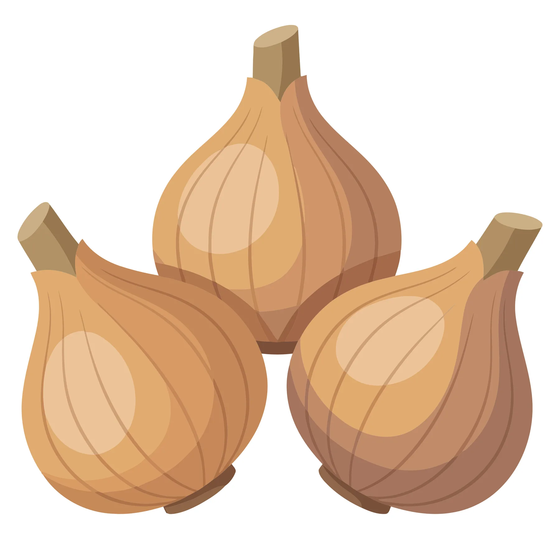 three fresh brown onions with stems isolated on white background