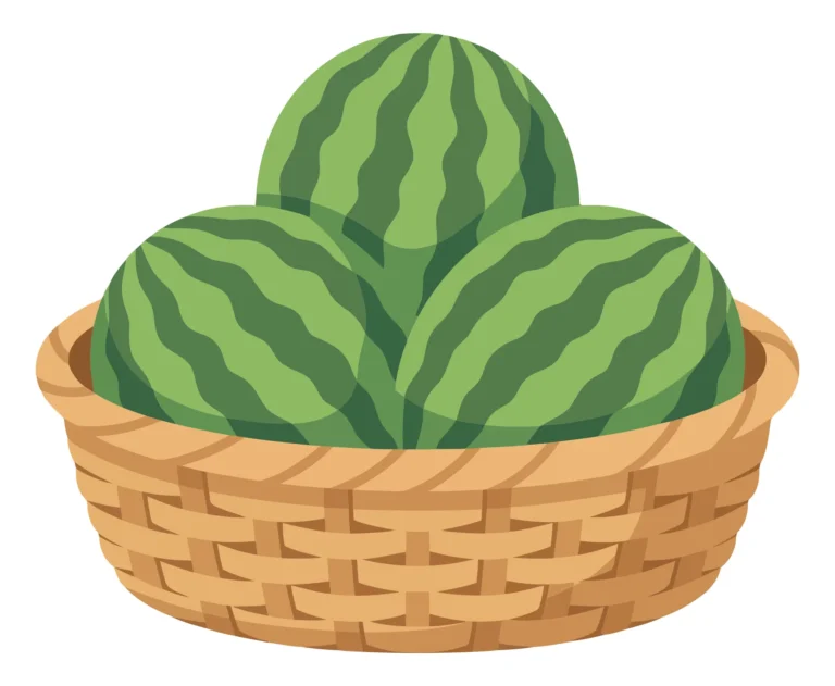 three fresh watermelons in a woven wicker basket isolated on white background