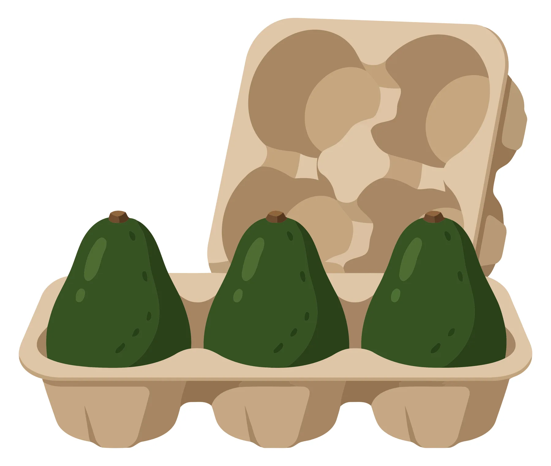 three fresh whole avocados arranged in a cardboard egg carton container, healthy organic food concept, vector illustration isolated on white