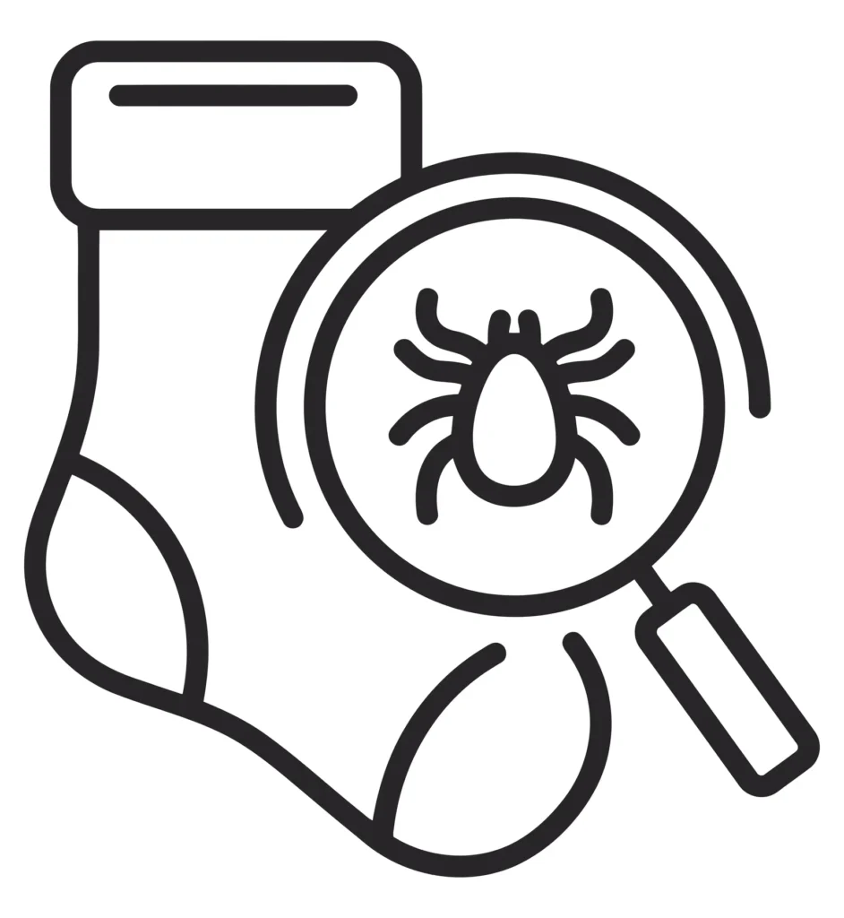 tick on a sock icon with magnifying glass