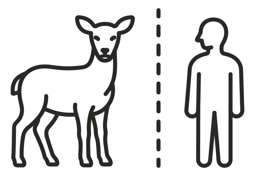 tick transmission from deer to human
