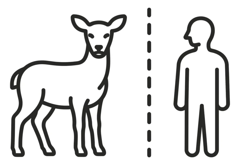 tick transmission from deer to human
