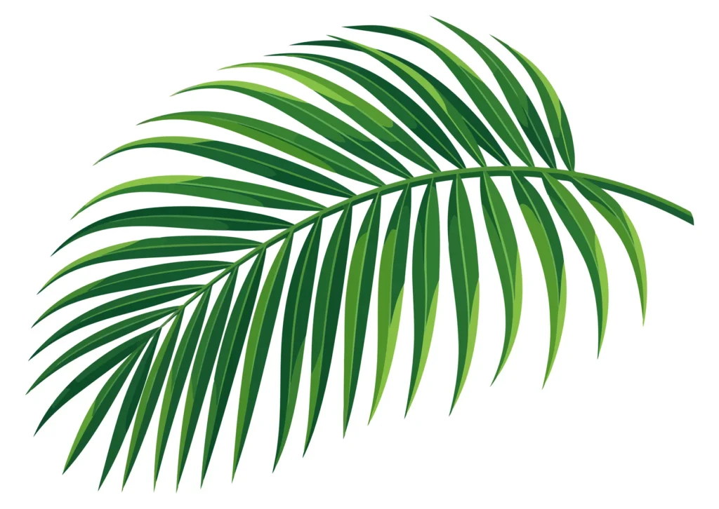 tropical palm leaf