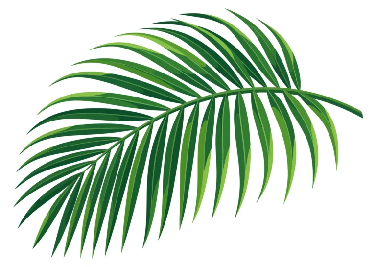 Green Tropical Palm Leaf Vector Illustration