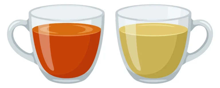 two glass cups filled with different types of tea, one with dark black tea and one with light green tea, isolated on white background
