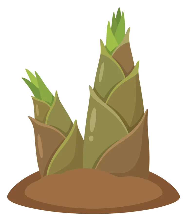 two green bamboo shoots growing in soil, illustration