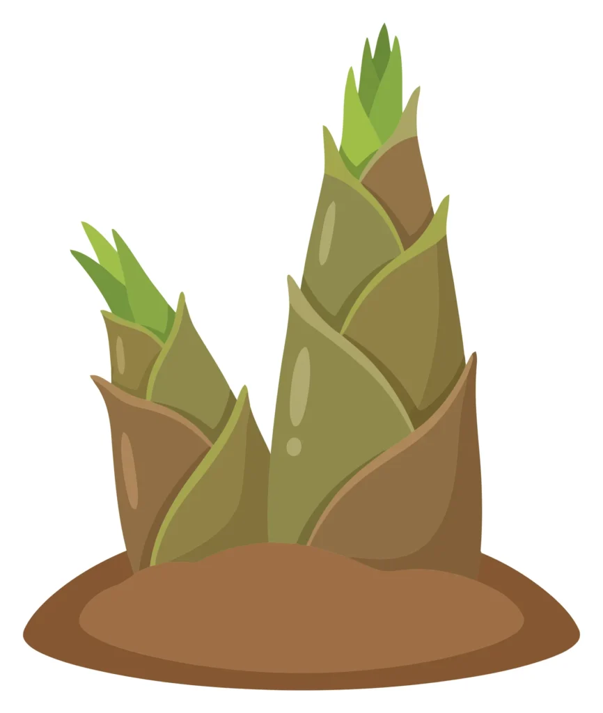 two green bamboo shoots growing in soil, illustration