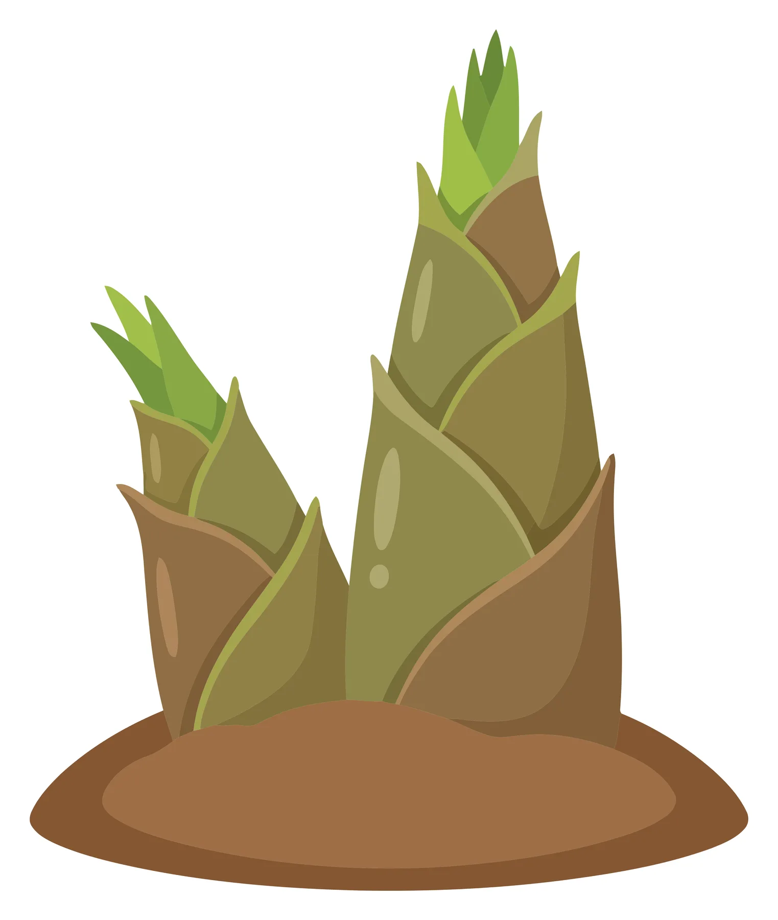 two green bamboo shoots growing in soil, illustration