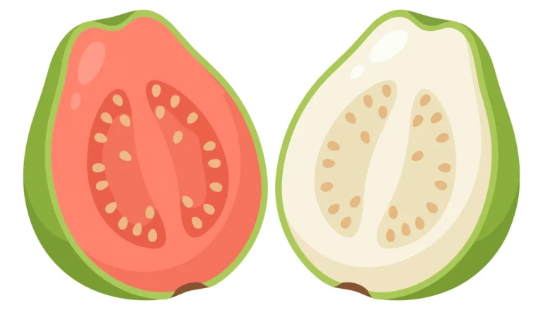 two halved guavas with pink and white flesh showing seeds isolated on white background