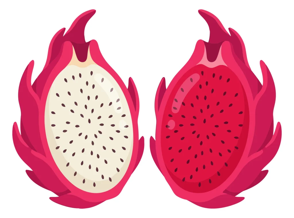 Two Halves Of Dragon Fruit, Pitaya With White And Red Pulp, Exotic Fruit two halves of dragon fruit, pitaya with white and red pulp, exotic fruit