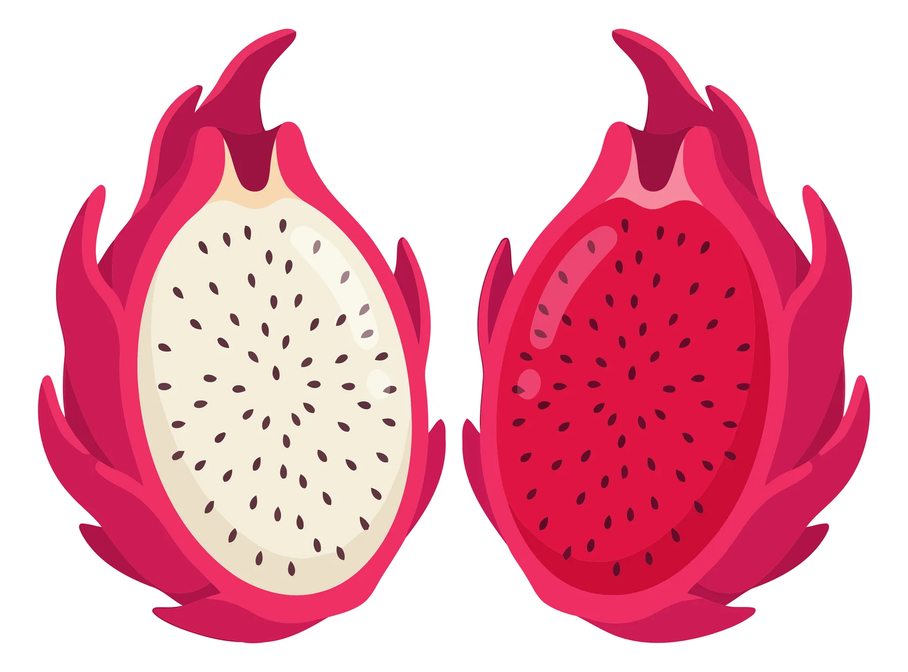 two halves of dragon fruit, pitaya with white and red pulp, exotic fruit
