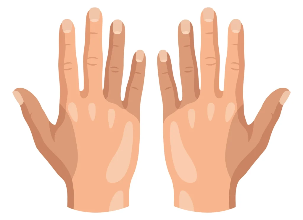 two human hands