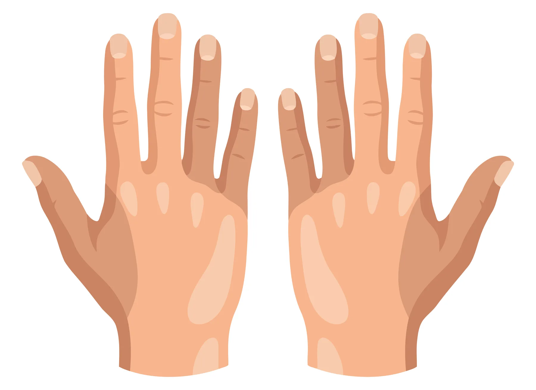 Two Open Human Hands in Flat Vector Style