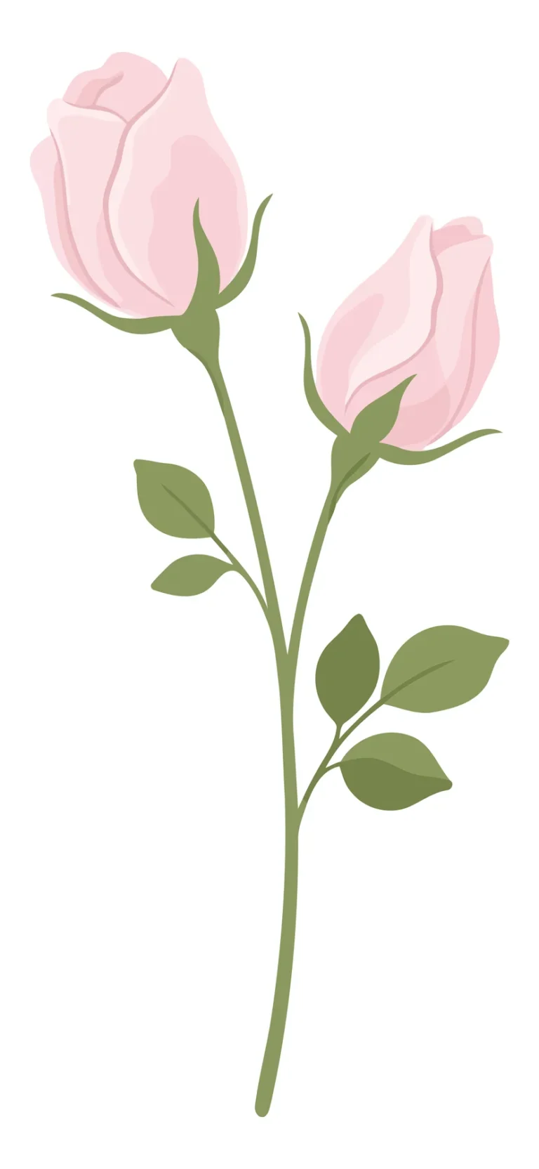 Two Pink Rose Buds on a Green Stem Illustration