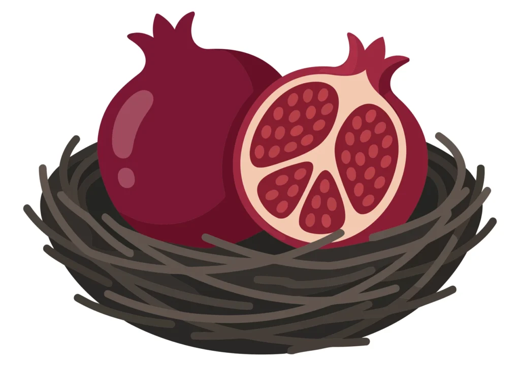 two pomegranates, one whole and one cut in half, placed in a twig nest flat vector illustration