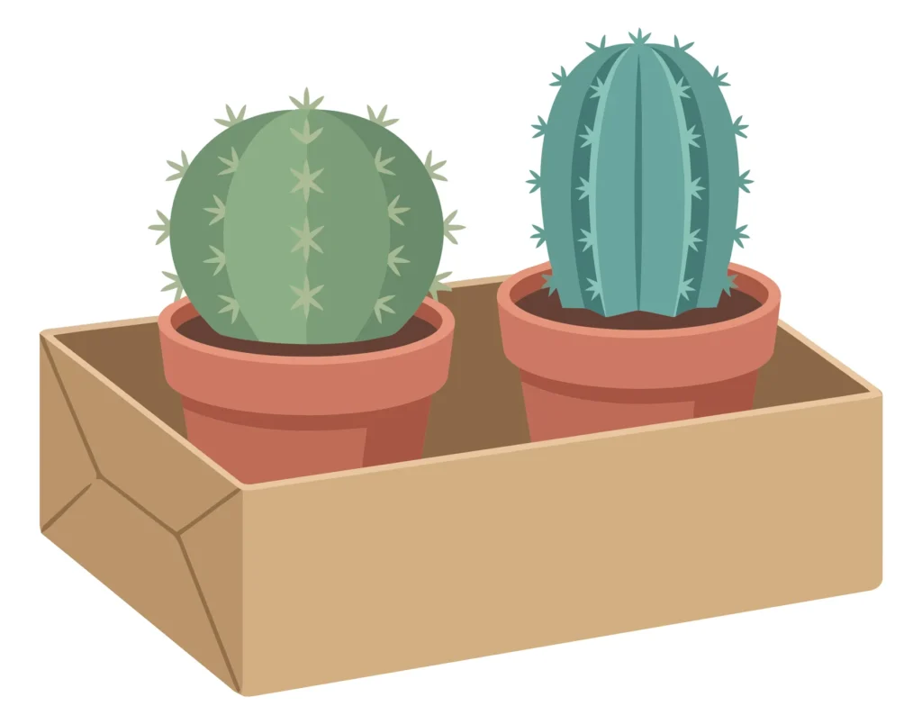 Two Potted Cacti In A Cardboard Box, Illustration two potted cacti in a cardboard box, illustration