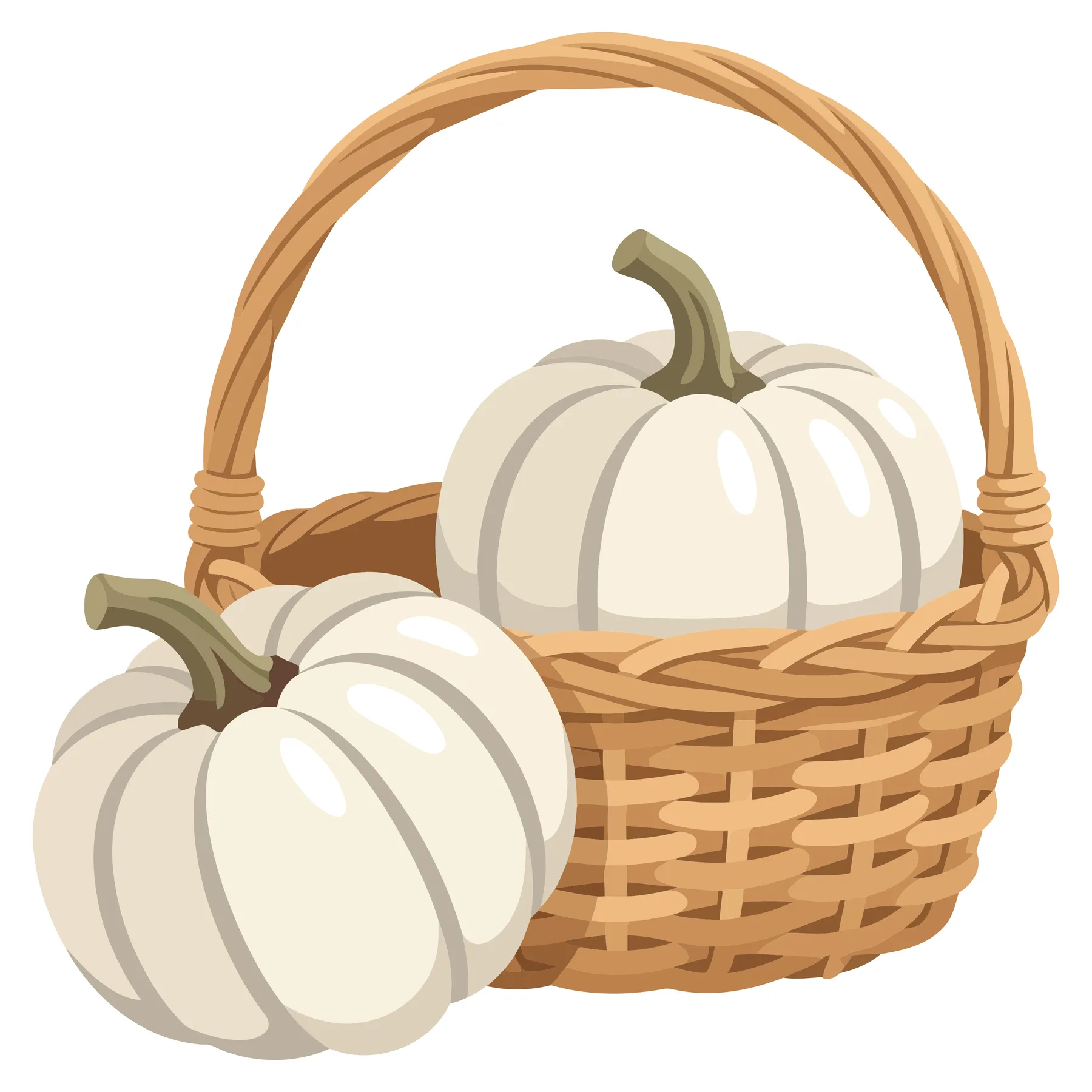 two white pumpkins in a woven wicker basket isolated on white background