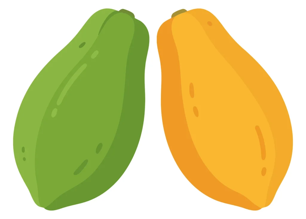 unripe green and ripe orange papayas isolated on white background