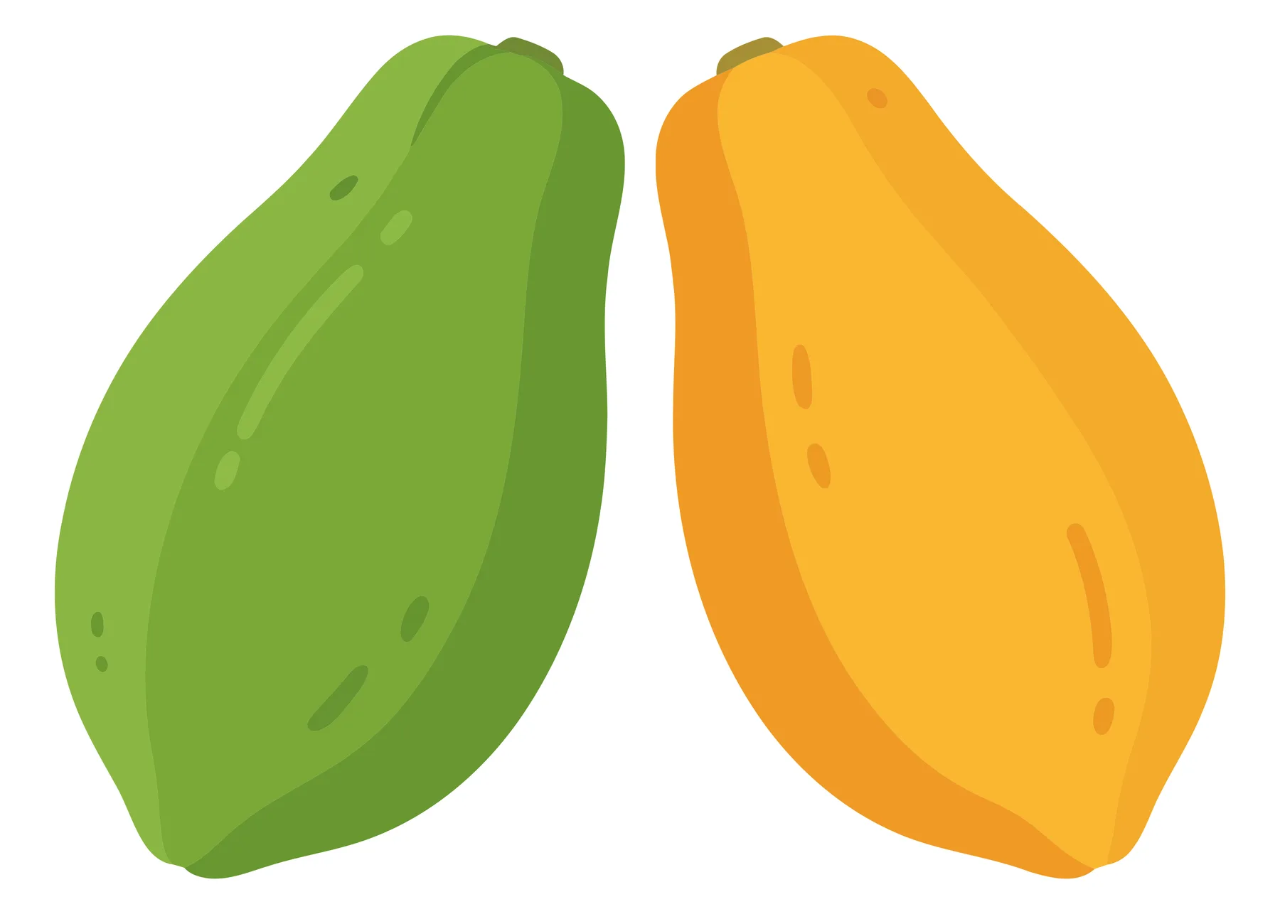 unripe green and ripe orange papayas isolated on white background