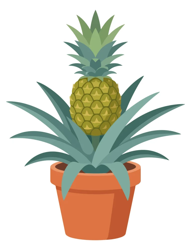 Pineapple Plant in Terracotta Pot Vector Illustration