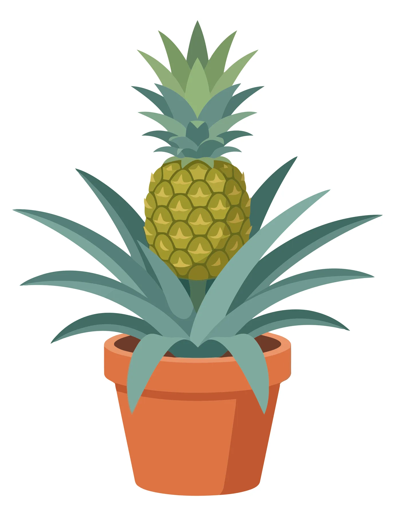 vector illustration of a pineapple plant growing in a terracotta pot, isolated on white background