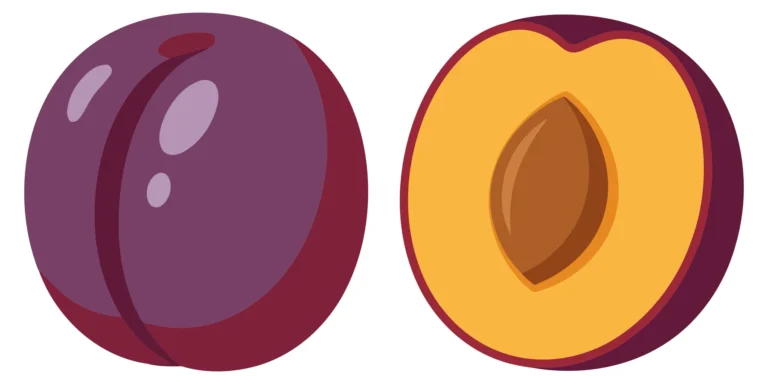 vector illustration of a whole purple plum and a halved plum with a pit inside, isolated on white background