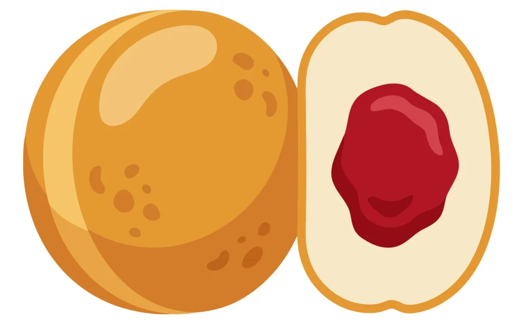 vector illustration of a whole round jellyfilled doughnut next to a crosssection half showing the red fruit jam filling inside, isolated on