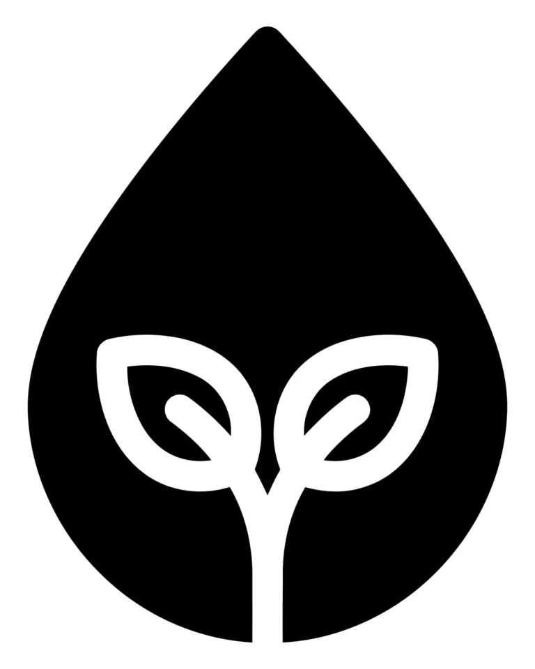 water drop with leaves inside