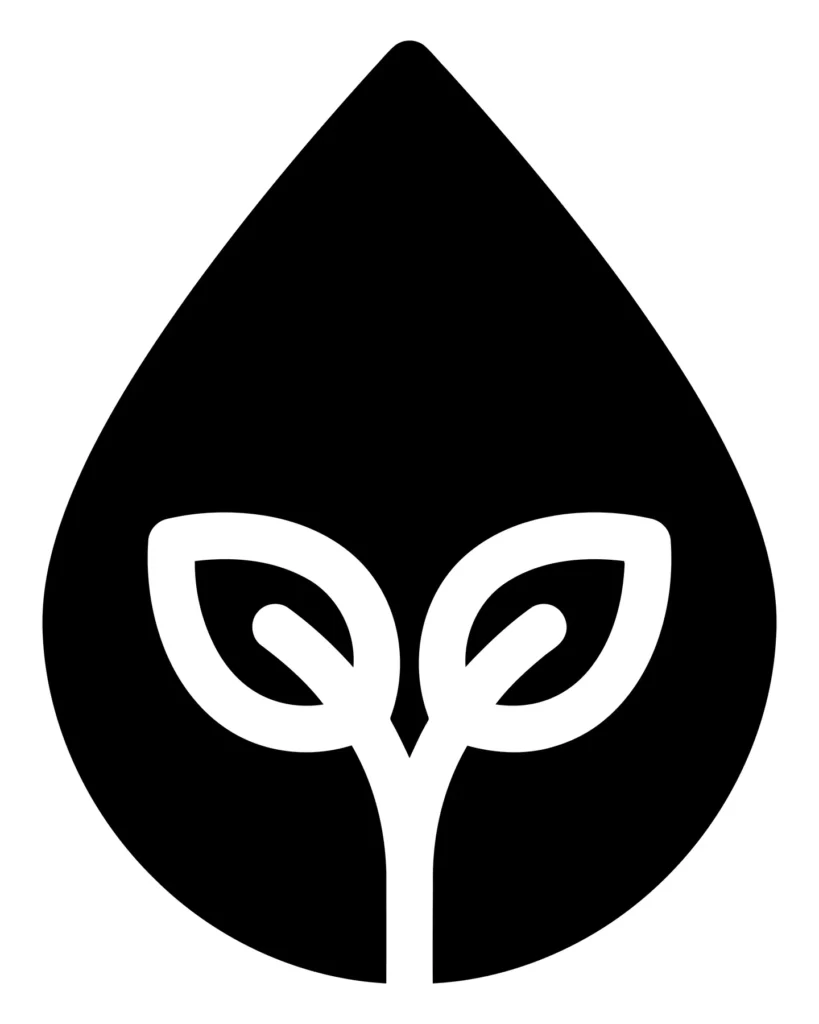 water drop with leaves inside