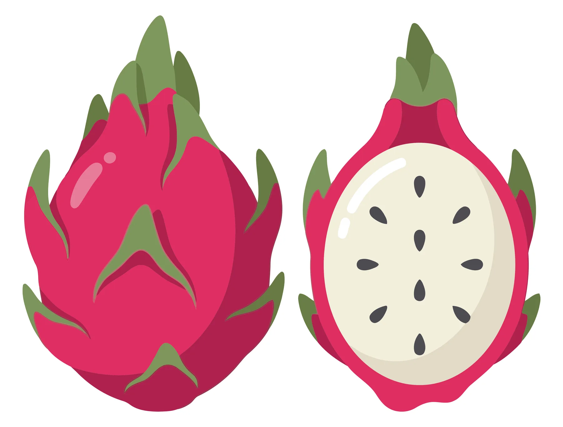 whole and halved dragon fruit isolated on white background