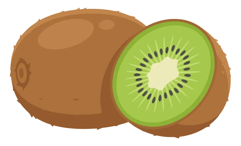 whole and sliced kiwi fruits vector illustration isolated on white background