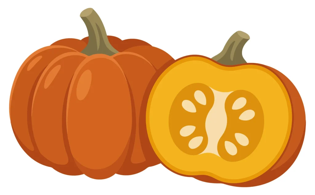 whole and sliced pumpkin illustration isolated on white background