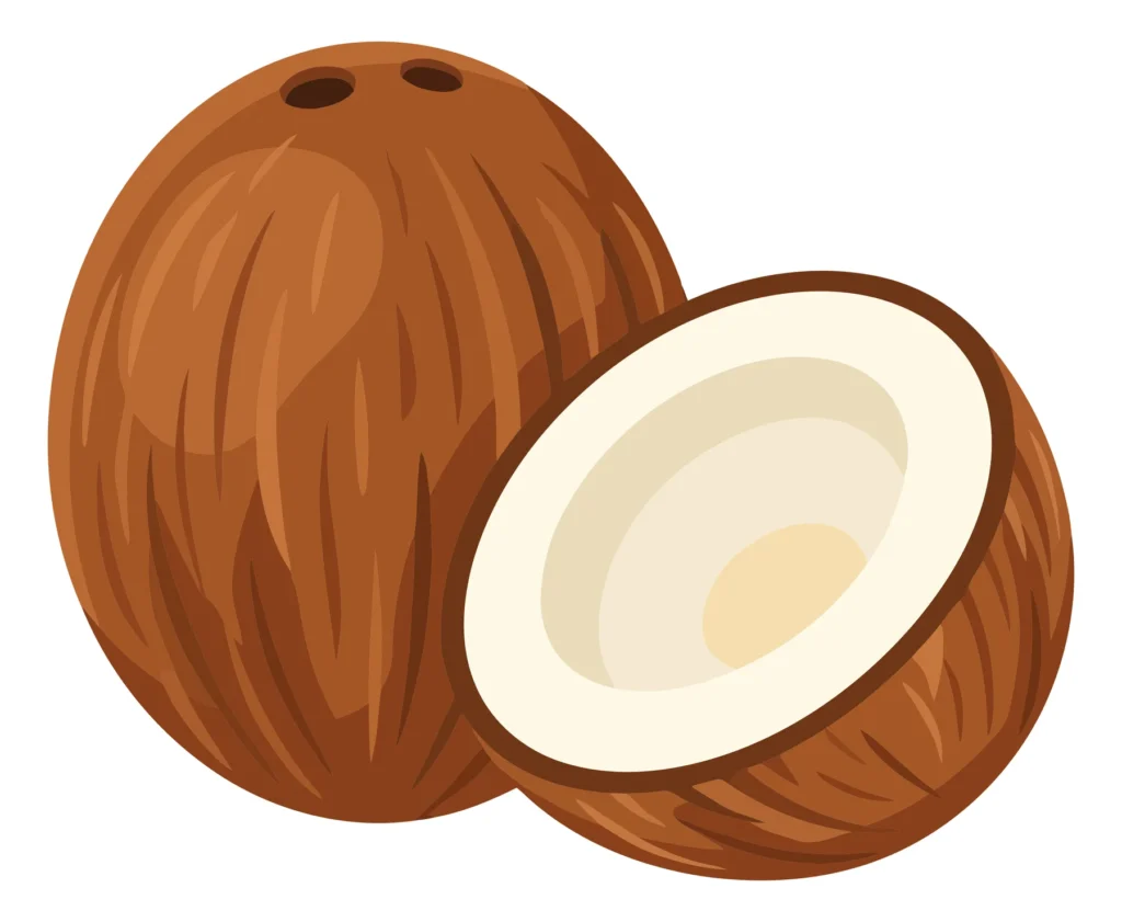 whole coconut and one cut open in half isolated on white background