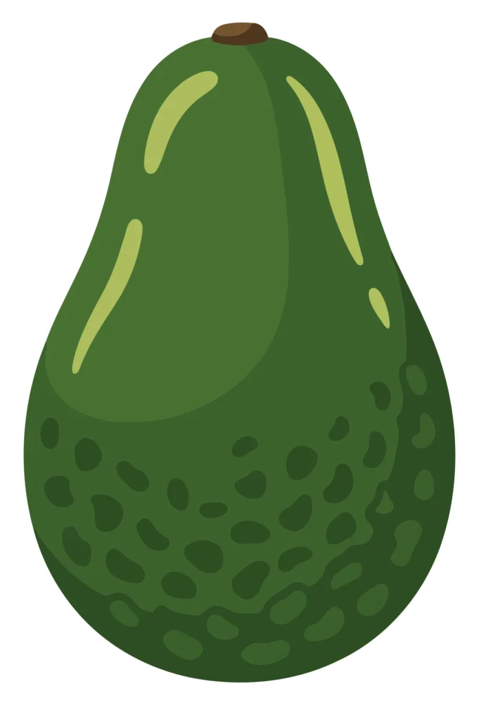 whole fresh avocado