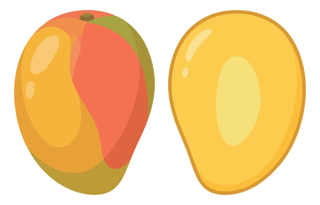 whole ripe mango fruit and a peeled half slice isolated on white background