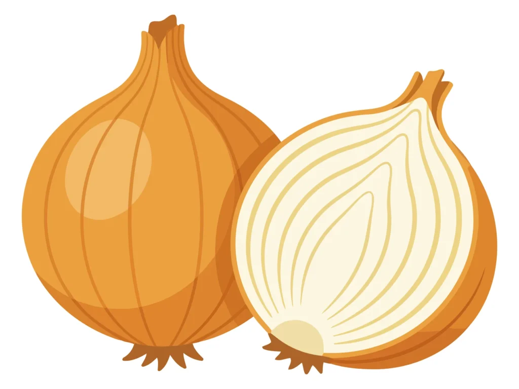 whole yellow onion and a half onion isolated on white background