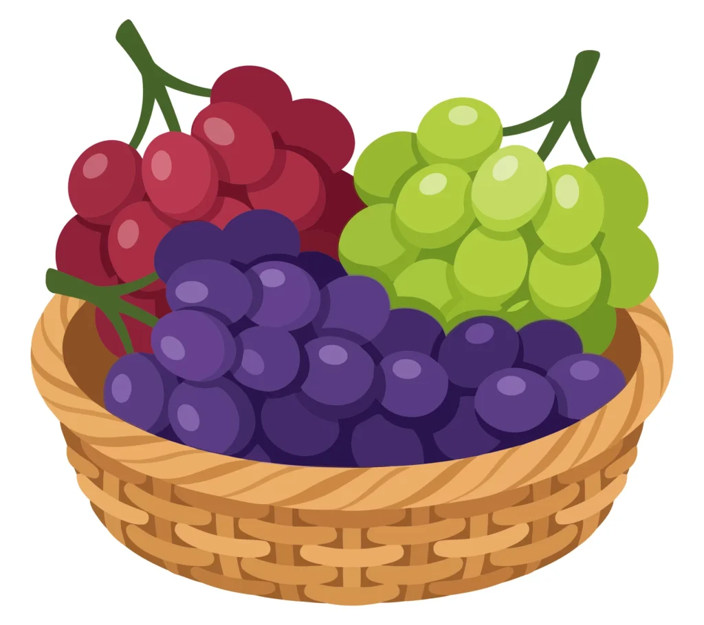 wicker basket filled with colorful fresh grapes of different varieties isolated on white background