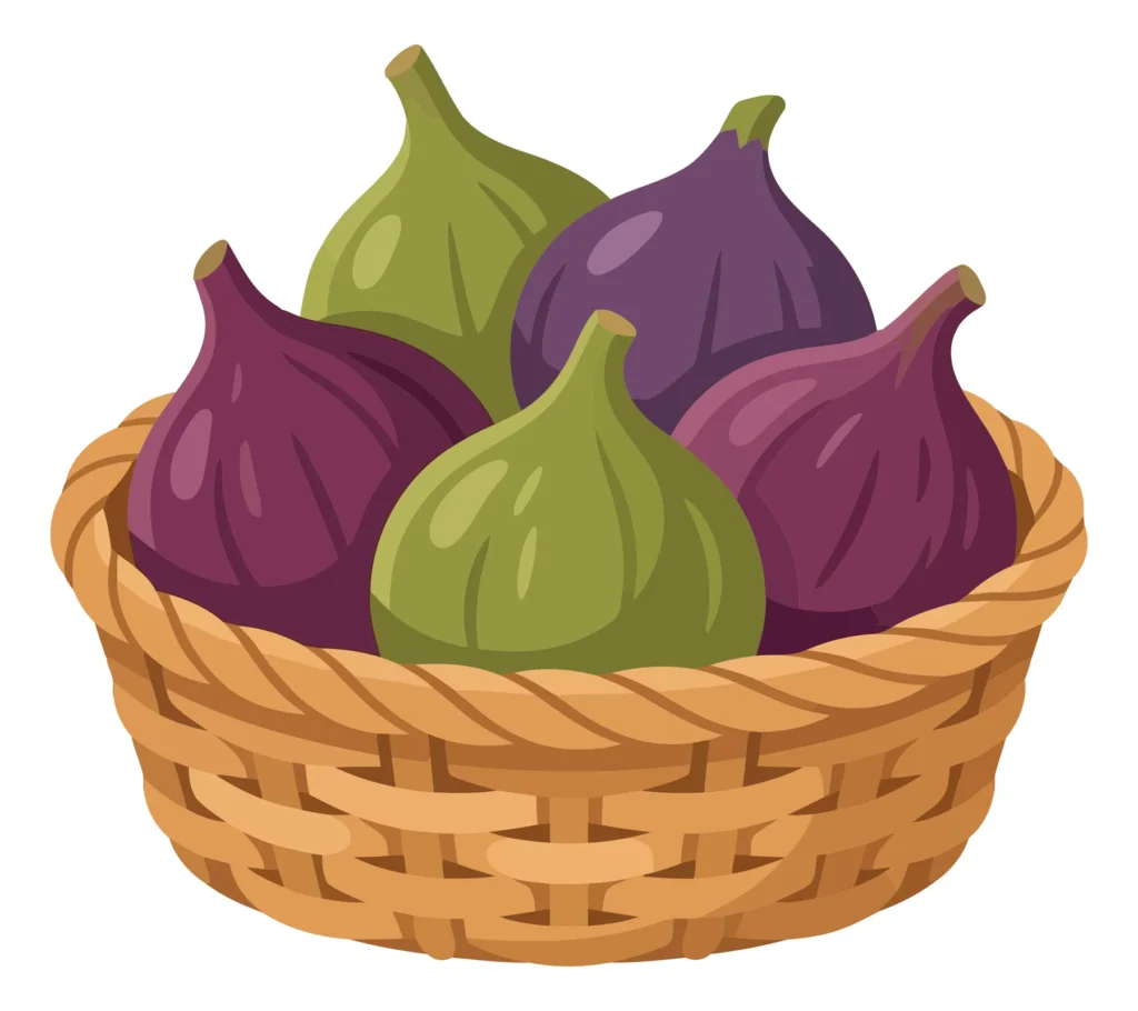 wicker basket filled with fresh ripe green and purple figs isolated on white background