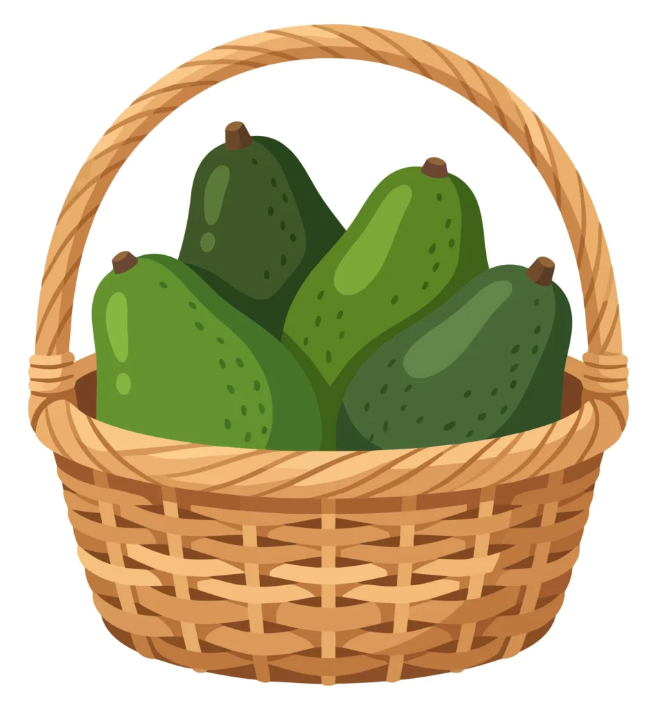 wicker basket filled with fresh ripe green avocados isolated on white background