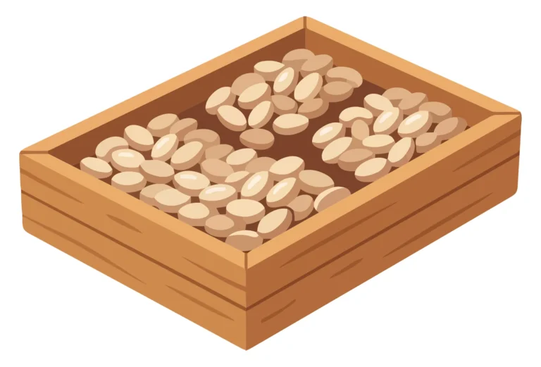 Wooden Box Filled with Seeds Vector Illustration