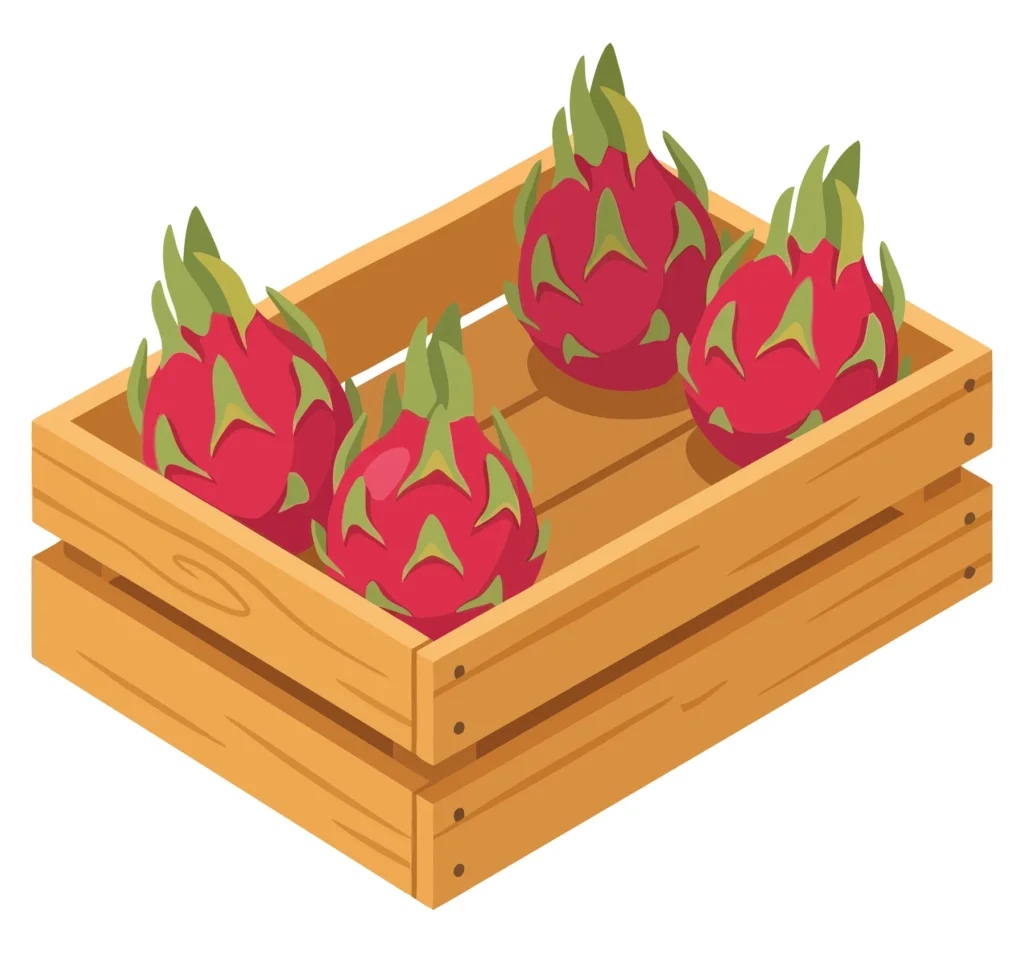 wooden crate filled with fresh dragon fruits