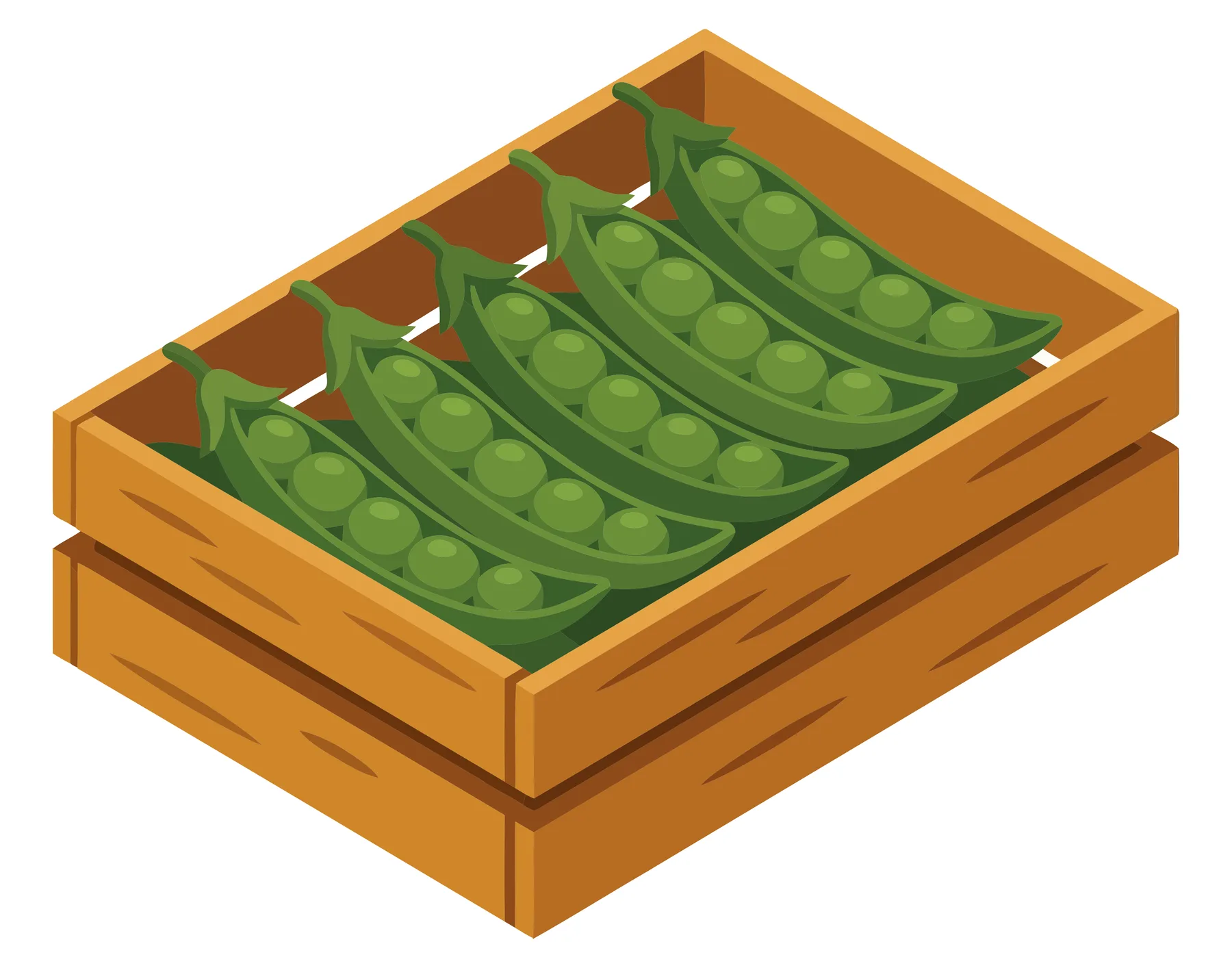 wooden crate filled with fresh green pea pods isometric vector illustration