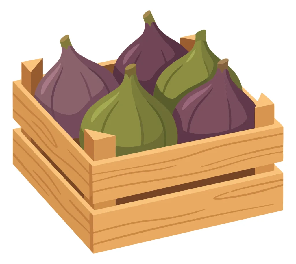 wooden crate filled with fresh purple and green figs isolated on white background