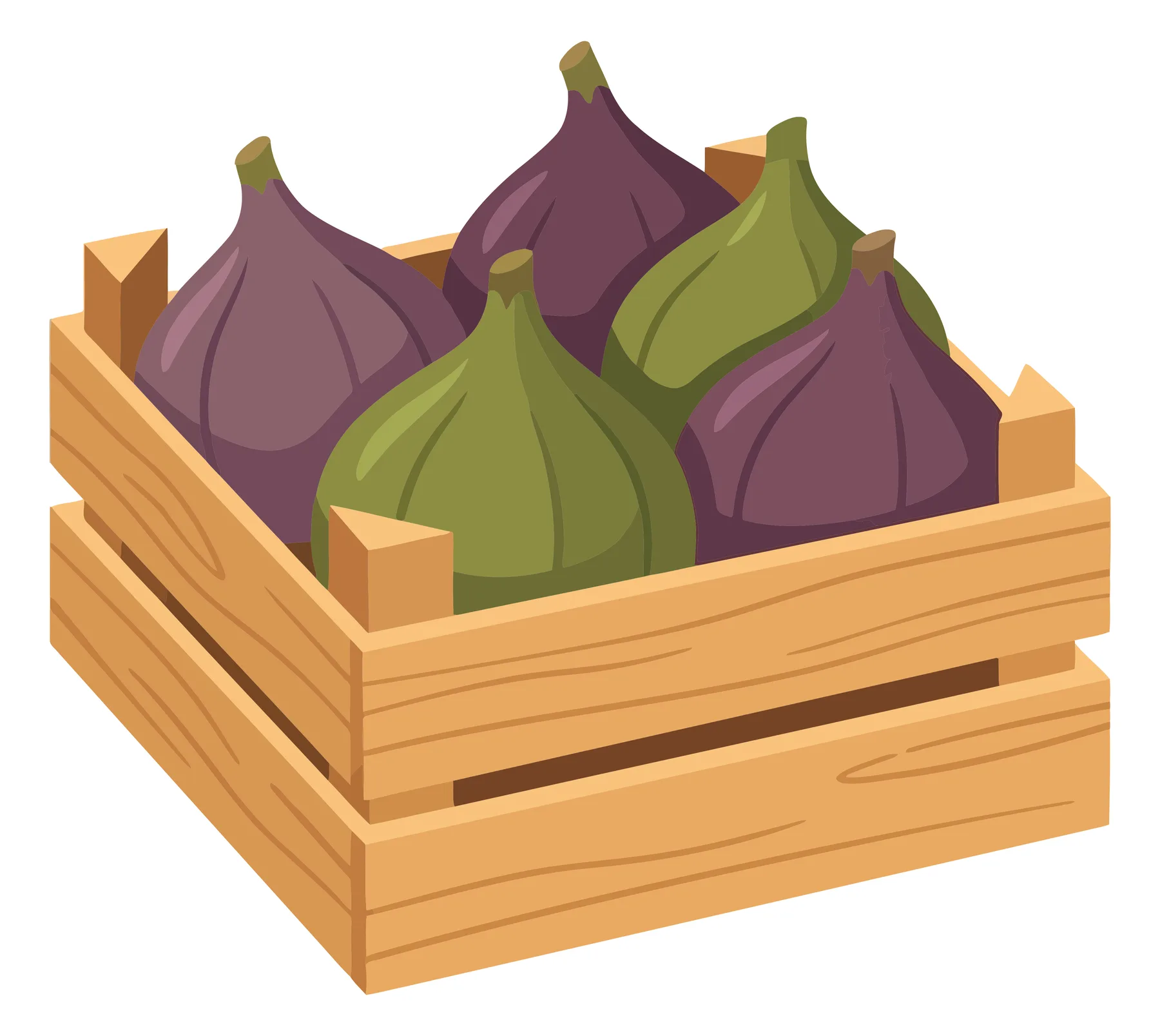 wooden crate filled with fresh purple and green figs isolated on white background