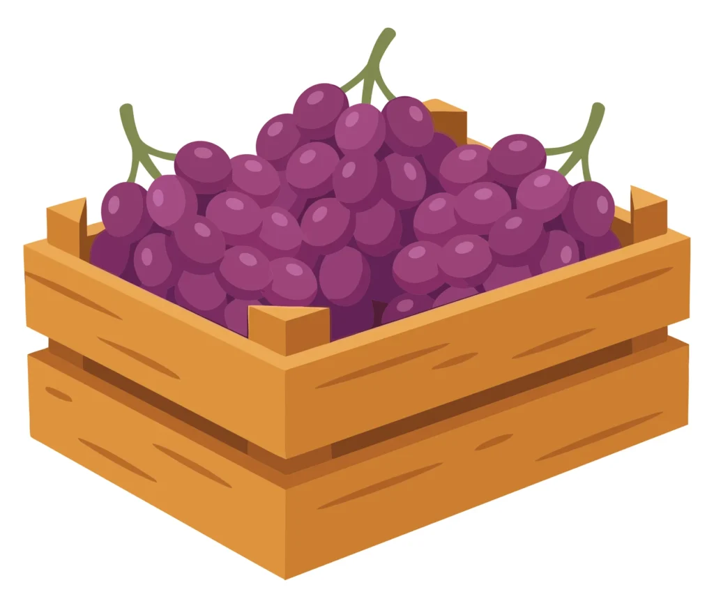 wooden crate filled with fresh purple grapes vector illustration