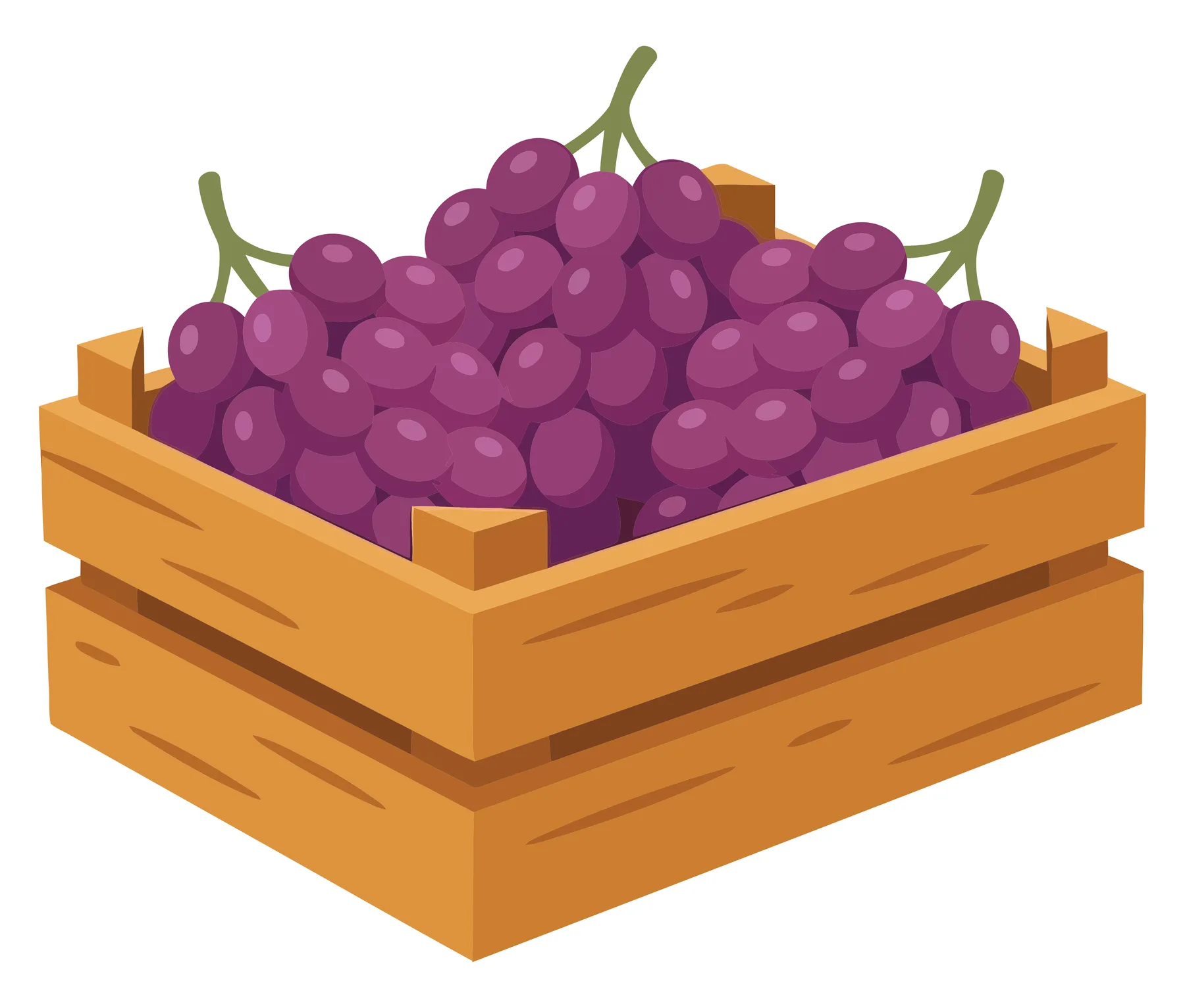 wooden crate filled with fresh purple grapes vector illustration