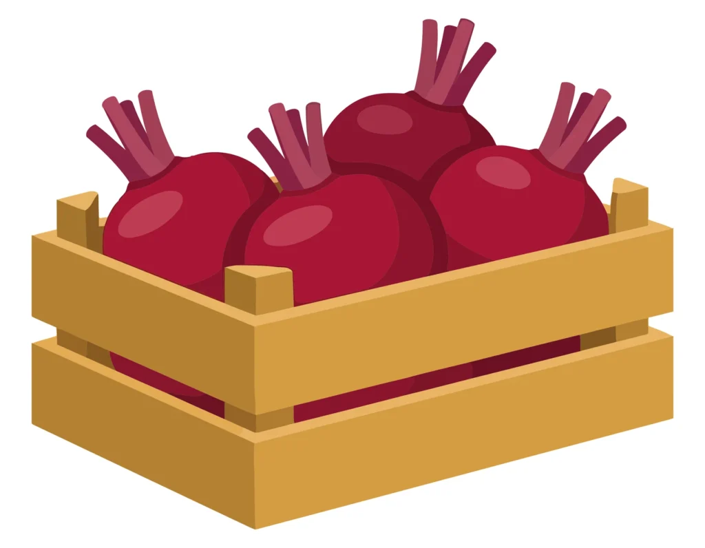 wooden crate filled with fresh red beets vector illustration