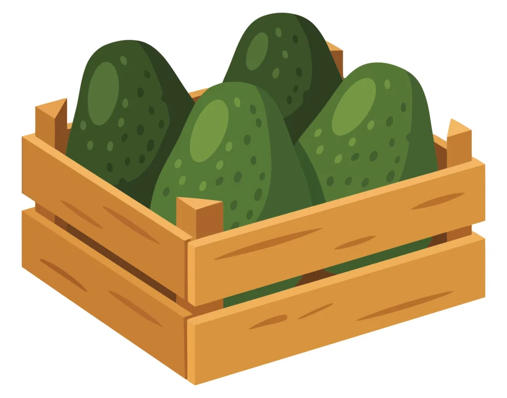 wooden crate filled with fresh ripe avocados, vector illustration of healthy organic fruit in a rustic container, isolated on white backgrou